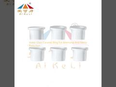 অ্যামোনিয়া এবং নাইট্রেট হ্রাস করার জন্য জল কাঁচ সিরামিক রিং