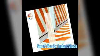 Windproof Retractable Gazebo Smart Canopy